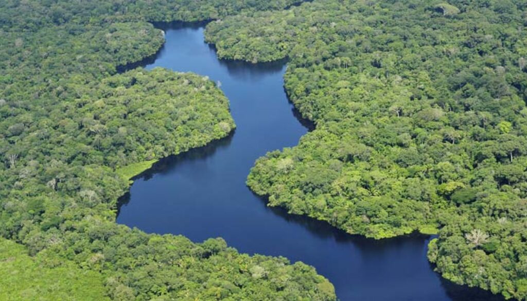 Amazonas2
