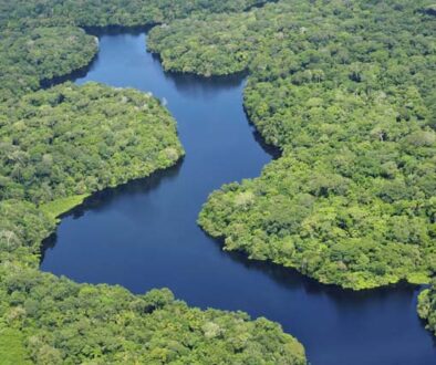 Amazonas2