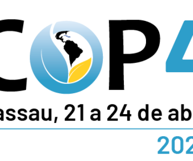 logo-cop4-web-es-short